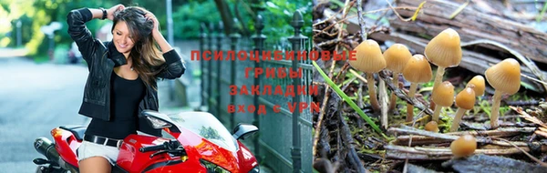 каннабис Богородск