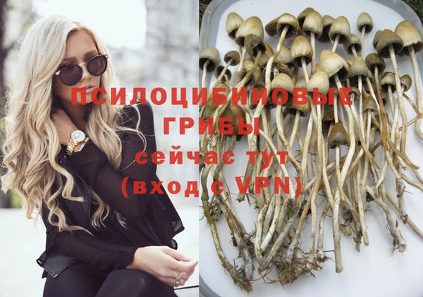 хмурый Богородицк