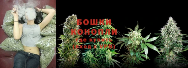 гашишное масло Богданович