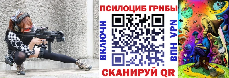 Галлюциногенные грибы Cubensis  закладка  Буйнакск 